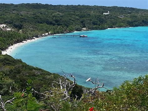Lifou Tourism (2024): All You Need to Know Before You Go