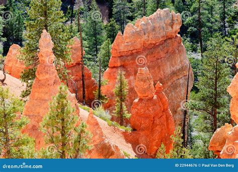Bryce Canyon hoodoos stock photo. Image of america, rocks - 22944676