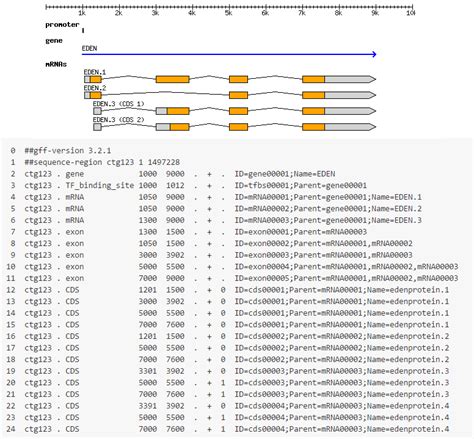 Image result for Gff Compare Class Code