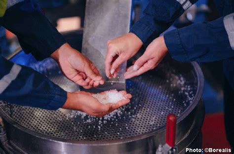 Image result for Borealis Clean Box