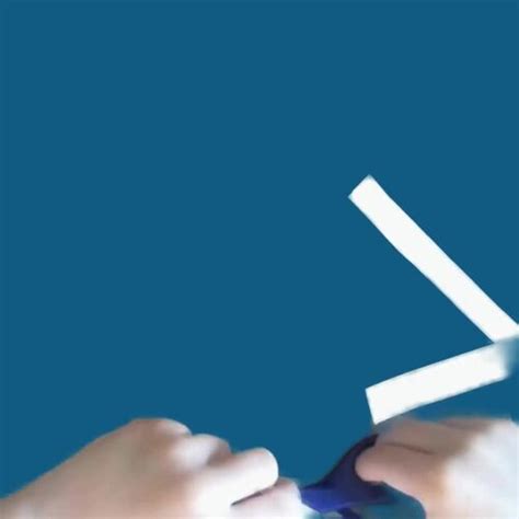 Image result for Insect Sorting