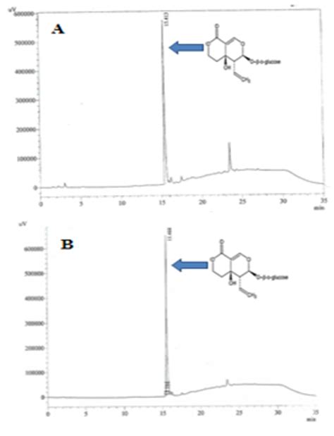 Swertiamarin ointment: A traditional approach in cutaneous wound healing