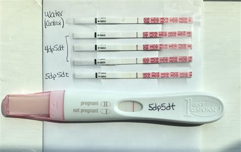 Evaporation Line On Pregnancy Kit at Virginia Nealon blog