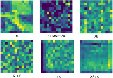 ASK-ViT: A Model with Improved ViT Robustness through Incorporating SK ...