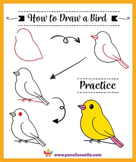 Image result for Drawing Birds Tutorial