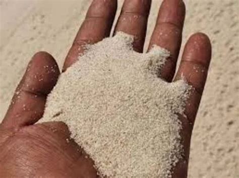 Image result for Sand Python