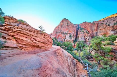 Page 13 | Blacktail canyon Images - Free Download on Freepik