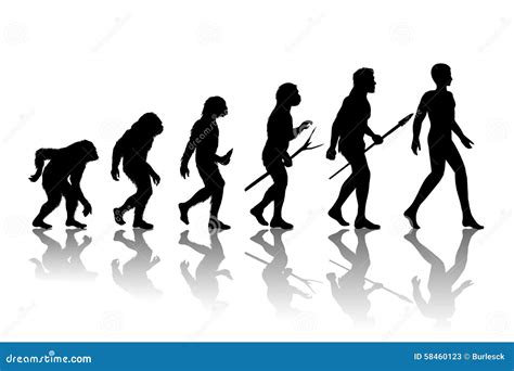 Man evolution stock vector. Illustration of male, people - 58460123
