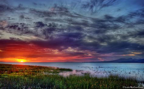 Güneş Resimleri (1. Katalog) - Sayfa 25