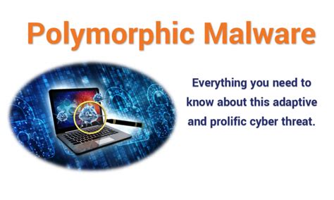 Image result for Polymorphic Code Malware