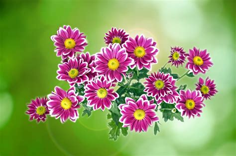 Image result for Object Detection Using Line Trcking Sensor