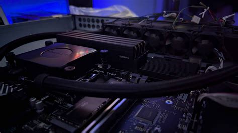 What Do Pigs Eat in Minecraft? 2025 Guide