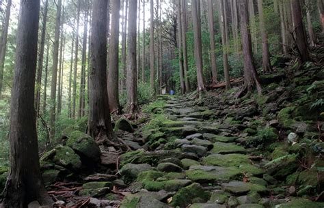 Hitze und Bären sorgen für weniger Touristen auf Japans berühmter ...