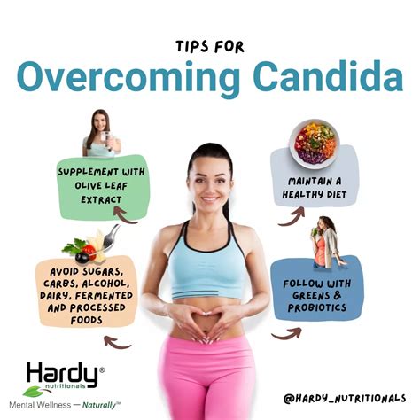 Understanding Yeast Overgrowth; A Case Study in Candida Lifestyle ...