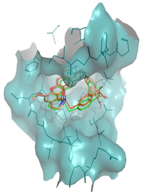 Molecular Docking Suggests the Targets of Anti-Mycobacterial Natural ...