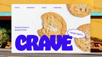 Programs for Web Design 的图像结果