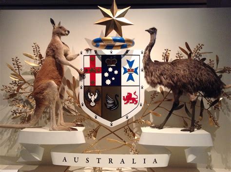 Australian National Flower And Animal | Best Flower Site