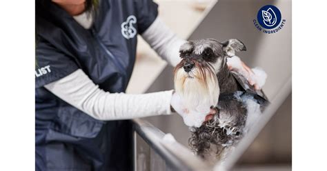 Does Petco Groom Dogs With Fleas at Abby Choi blog