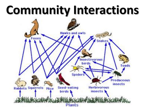YONO777 Community Interactions,discuss strategies