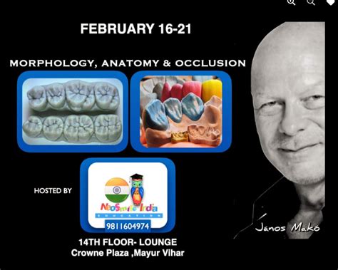 Photo Gallery | JANOS MAKO | Feb 2024/003 | NEO Smile