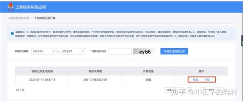 国家税务总局四川省税务局关于个人所得税纳税记录网上开具功能上线的通告