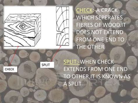 Classification of Defects in Timber 的图像结果