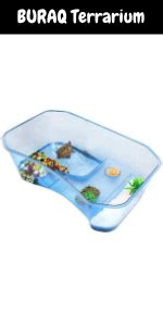 Buy BURAQ E27 Reptile Lamp Holder with 2 50 W Turtle Amphibious ...