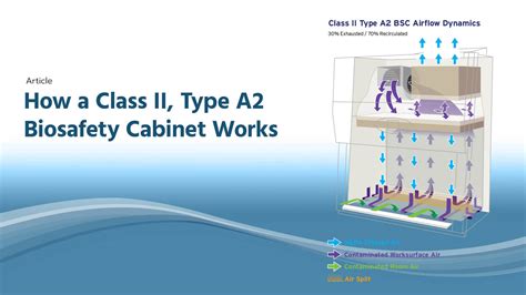 Image result for Biosafety level Types