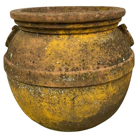 Large Antique Spanish Olive Storage Jar For Sale at 1stDibs | antique ...