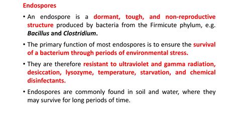 Bacterial Endospore.ppt