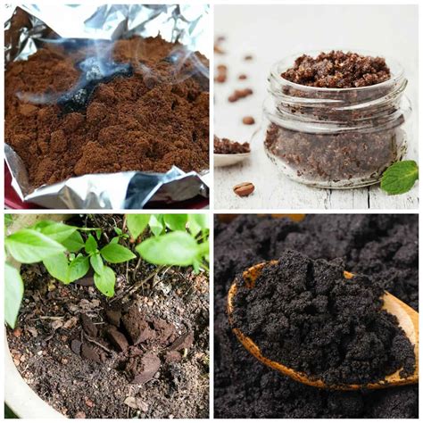 What to Do With Old Used Coffee Grounds • Everyday Cheapskate
