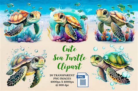 Cute Sea Turtles Clipart Illustration par Webmark · Creative Fabrica