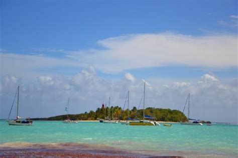 LES PIEDS DANS L'EAU, Le Gosier - Restaurant Reviews, Phone Number ...
