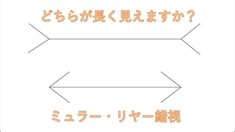 Image result for Spring/Summer Fall Snow