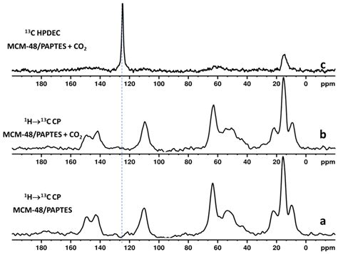 CO2 Adsorption on the N- and P-Modified Mesoporous Silicas