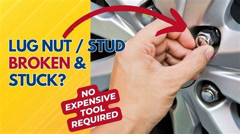 Nut On Broken Computer 的图像结果