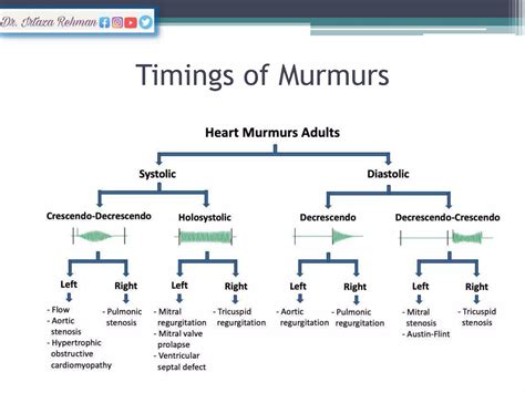 Murmur In Newborn