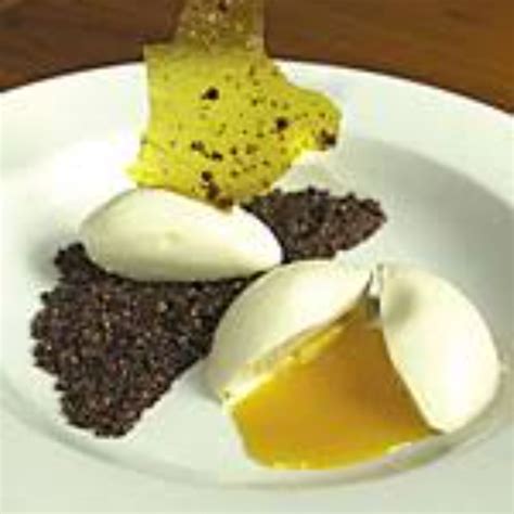 Carnivore Cafe Snake