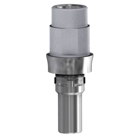 Titanbasis kompatibel mit Camlog®