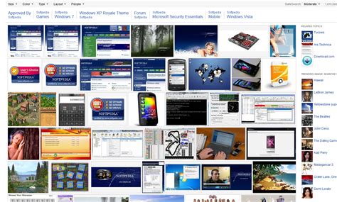 New Bing Image Search 的图像结果