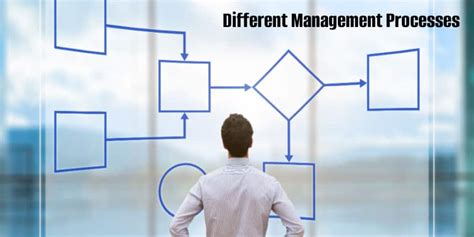 Management Process - Definition, Features & Functions