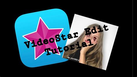 Image result for Videostar Log