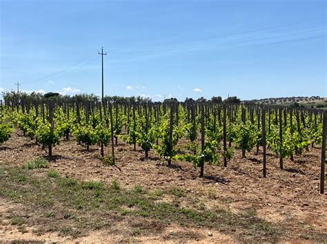 Sicily Best Tour (Messina) - 2022 What to Know Before You Go (with ...