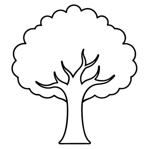 Boom tekening-vectors - Download gratis hoogwaardige vectors van ...