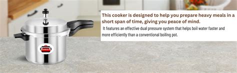 Buy Pannikin Aluminium Outer Lid Pressure Cooker 5 Litres (Silver ...