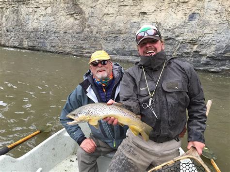 MONTANA FLYFISHING CONNECTION, LLC - All You Need to Know BEFORE You Go ...
