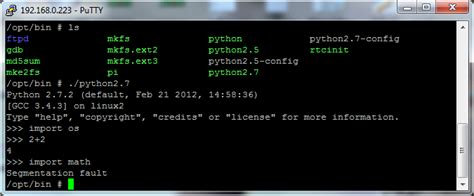 Image result for Segmentation Fault Python in CodeChef