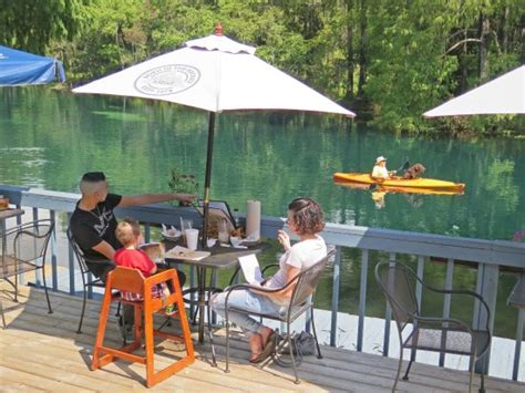 wonderful waitress and great food - Reviews, Photos - Swampy's Bar ...