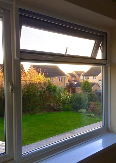 Window Fly Screen 的图像结果