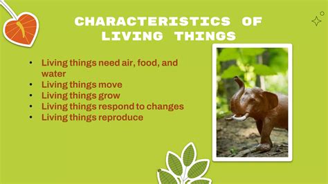 UNIT 1 LIVING THINGS AND NON-LIVING THINGS.pptx